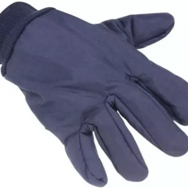 Luva Nylon Termica Forrada Cor: Azul CA: ...