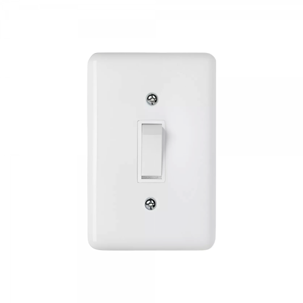 Conjunto 1 Interruptor Simples + 1 Parale...
