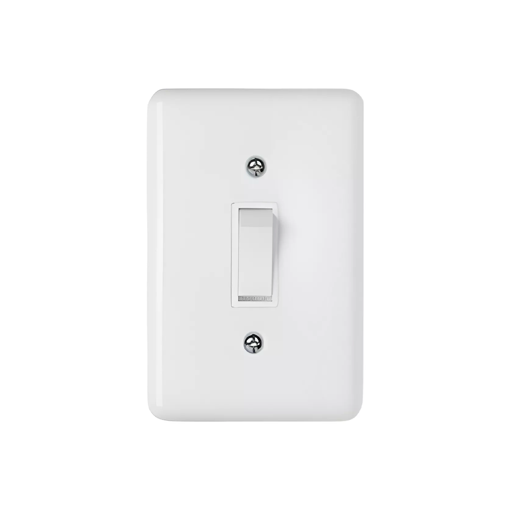 Conjunto 1 Interruptor Simples + 1 Parale...