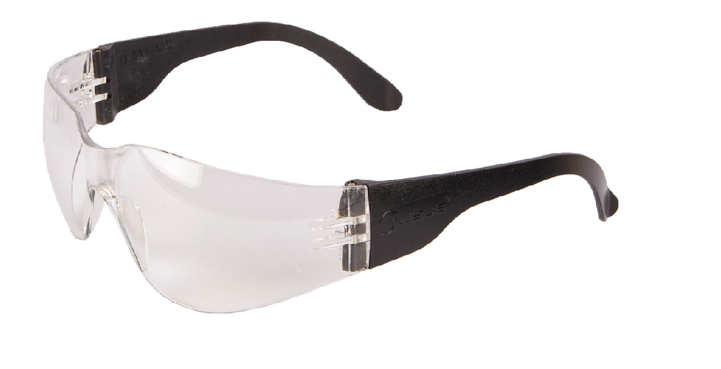 Oculos de Segurança Mod. Ecoline HC (AR) ...